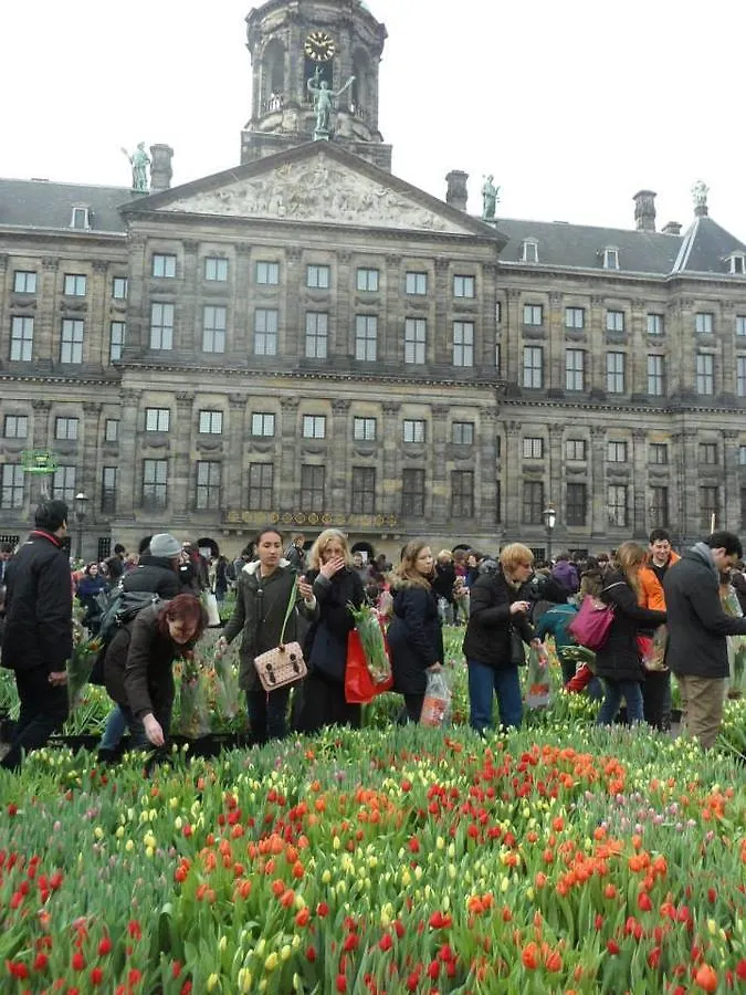 Manikomio Bed and Breakfast Ámsterdam