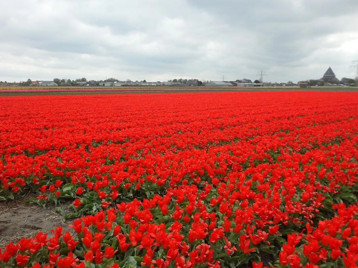 Manikomio Bed & Breakfast Amsterdam